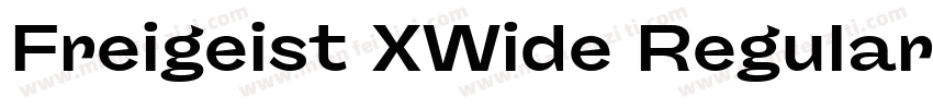 Freigeist XWide Regular字体转换